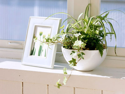 ������ҽԺ